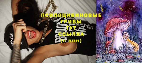 таблы Бородино