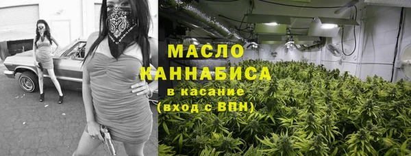 таблы Бородино