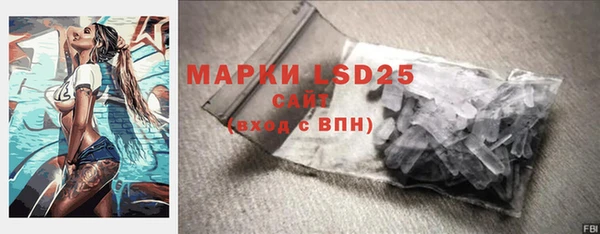таблы Бородино