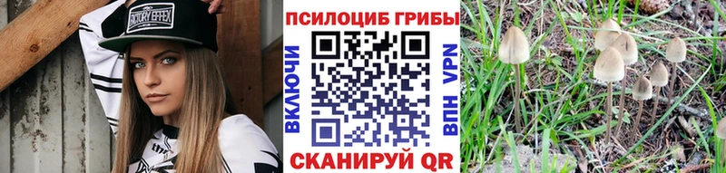 где продают наркотики  blacksprut ссылки  Псилоцибиновые грибы прущие грибы  Зверево 