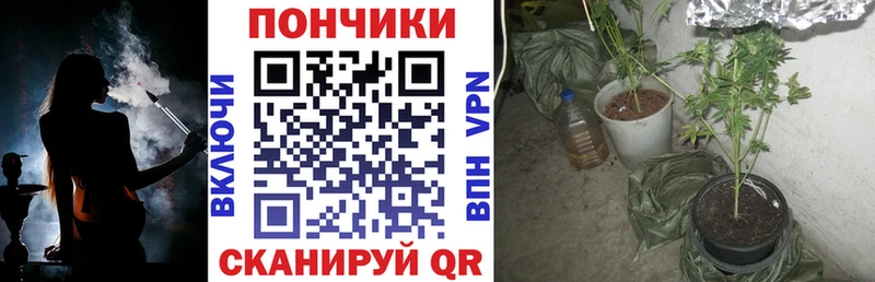 купить   Зверево  Конопля планчик 